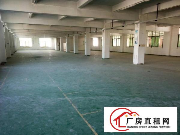 
塘厦大坪高速出口标准楼上1000平米低价出租