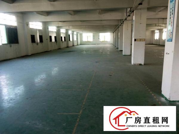 
塘厦大坪高速出口标准楼上1000平米低价出租