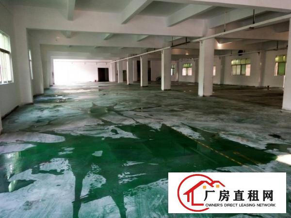 
塘厦林村莲湖新出标准楼上1000平米带装修厂房出租