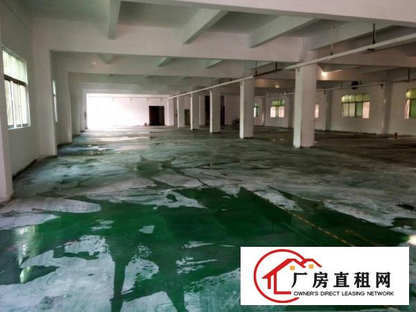 
塘厦林村莲湖新出标准楼上1000平米带装修厂房出租