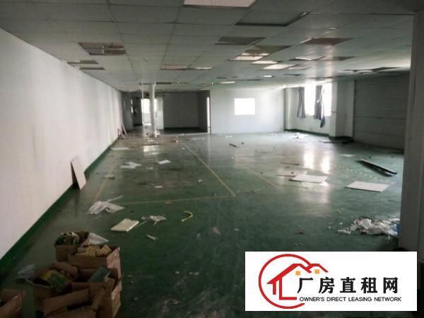 
塘厦新出独门独院厂房7600平米带装修出租