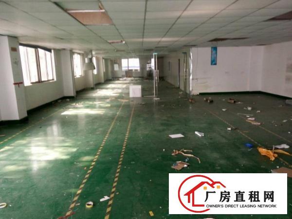 
塘厦新出独门独院厂房7600平米带装修出租