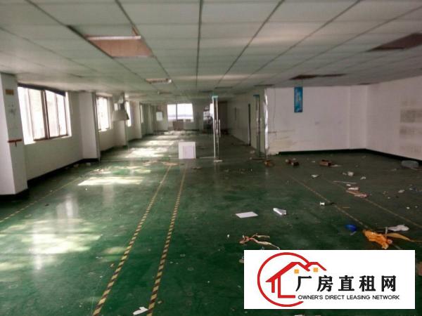 
塘厦新出独门独院厂房7600平米带装修出租