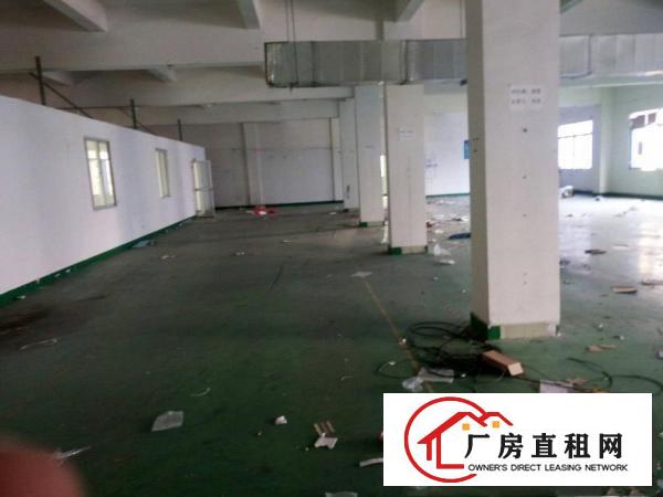 
塘厦新出独门独院厂房7600平米带装修出租