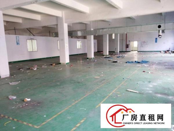 
塘厦新出独门独院厂房7600平米带装修出租