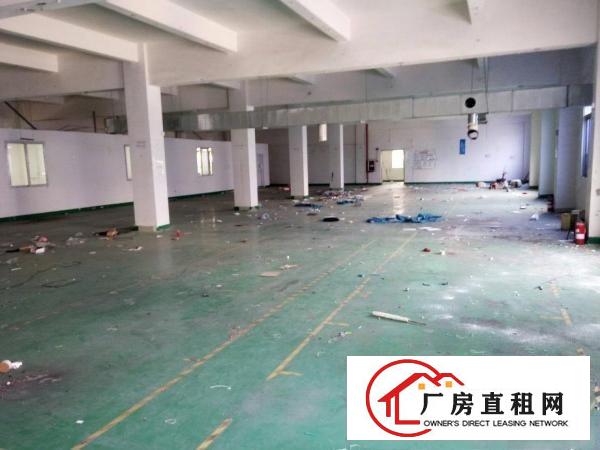 
塘厦新出独门独院厂房7600平米带装修出租