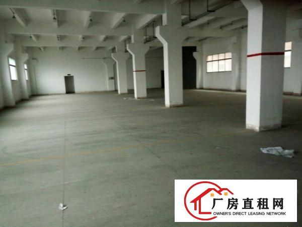 
塘厦凤凰岗新出标准一楼带办公室装修1500平米出租