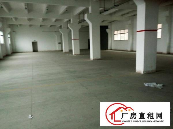 
塘厦凤凰岗新出标准一楼带办公室装修1500平米出租