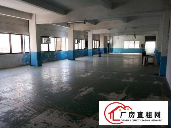 
塘厦科苑城沙湖新出二楼650平米带办公室装厂房出租