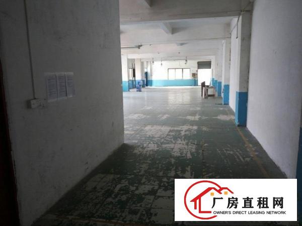 
塘厦科苑城沙湖新出二楼650平米带办公室装厂房出租