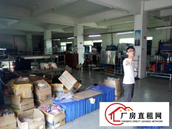 
塘厦新出大坪高速标准一楼600平米带装修厂房出租