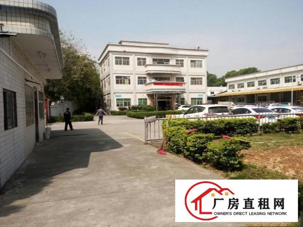 
塘厦新出大坪高速标准一楼600平米带装修厂房出租