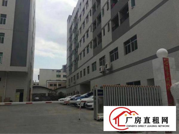 
塘厦原房东四楼1700平方九成新