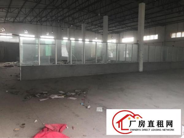 
塘厦大道边独院厂房1500平方空地超大