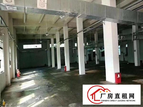 
塘厦大坪高速出口独院标准单一层2700平方