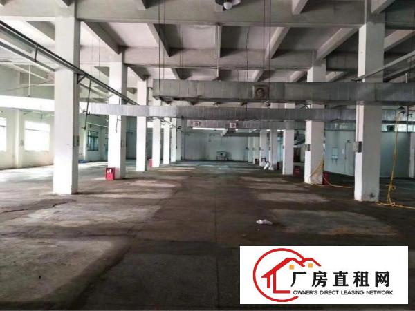 
塘厦大坪高速出口独院标准单一层2700平方