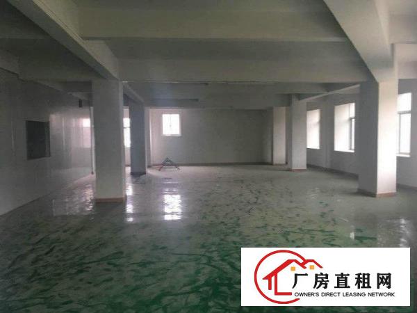 
深圳和凤岗，独院5楼厂房610平方米靓无尘车间招租