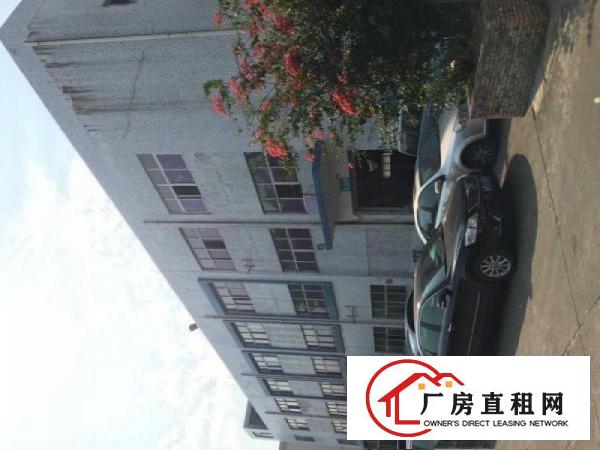 
塘厦新出标准厂房2楼680平米厂房办公室已全部翻新