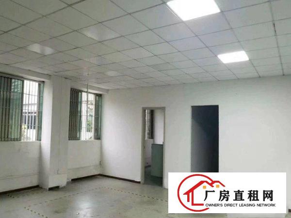
塘厦大坪原房东标准一楼1500平米，无公摊（出租）
