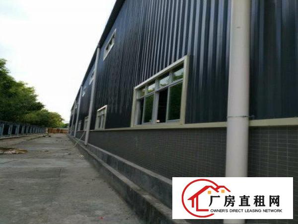 
塘厦田心单一层钢构3000平