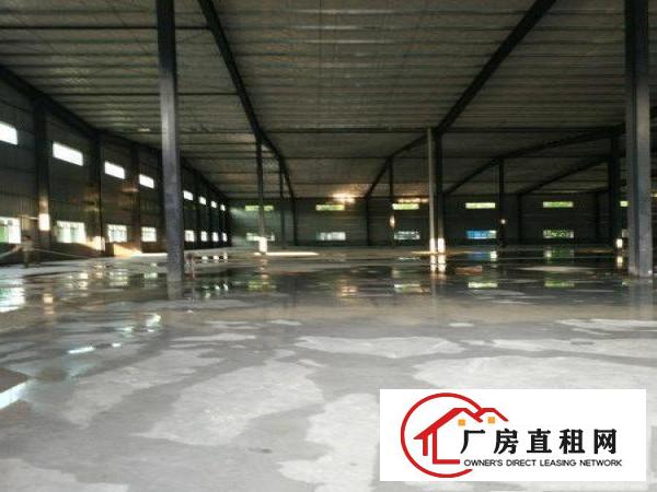 
塘厦田心单一层钢构3000平