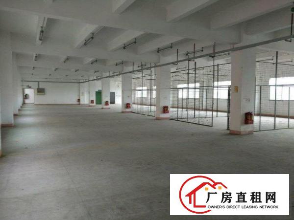 
塘厦沙湖全新厂房1000平，现成办公室装修