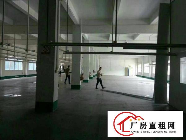 
原房东标准一楼1200平厂房出租，位于塘厦龙背岭