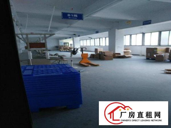 
塘厦林村标准厂房750平，可分租