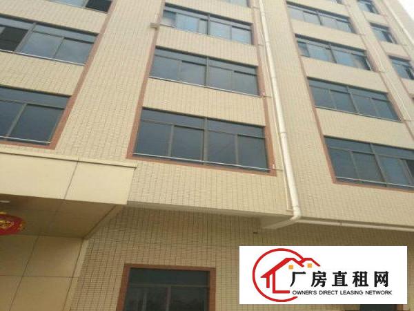 
塘厦新出300平现成装修办公室