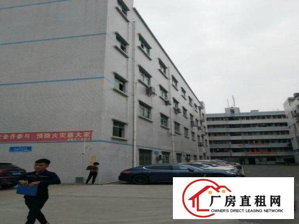
东莞市塘厦田心标准厂房800平