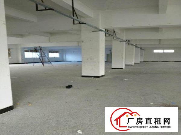 
塘厦莲湖标准一楼厂房460平