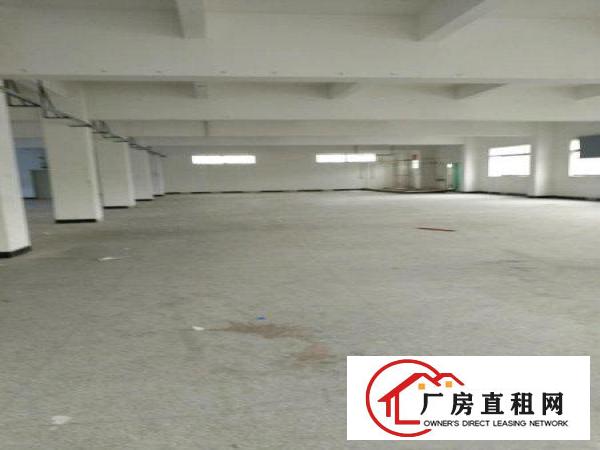
塘厦莲湖标准一楼厂房460平