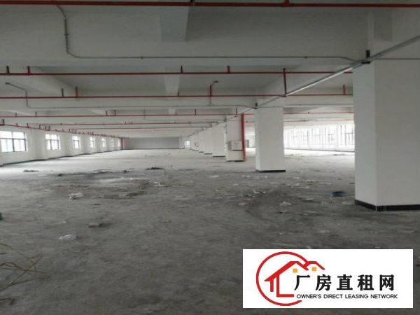 
塘厦大坪新建独院厂房20000平，可整租，可分租