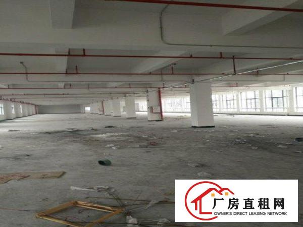 
塘厦大坪新建独院厂房20000平，可整租，可分租