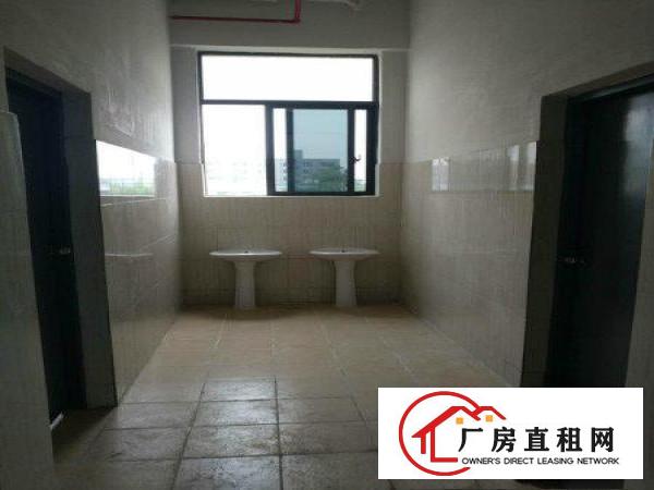 
塘厦大坪新建独院厂房20000平，可整租，可分租