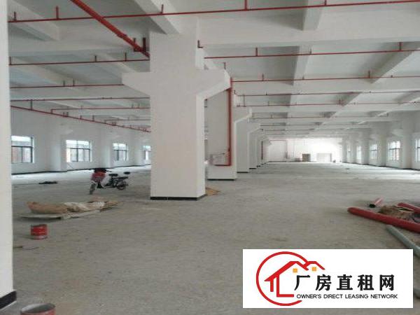 
塘厦大坪新建独院厂房20000平，可整租，可分租