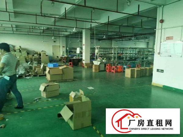 
塘厦蛟乙塘标准一楼900平厂房出租交通好周围人口旺