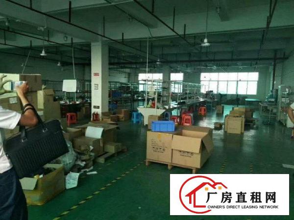 
塘厦蛟乙塘标准一楼900平厂房出租交通好周围人口旺