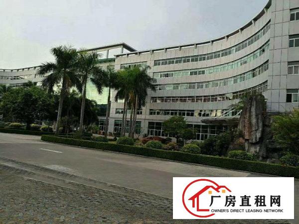 
塘厦蛟乙塘标准一楼900平厂房出租交通好周围人口旺