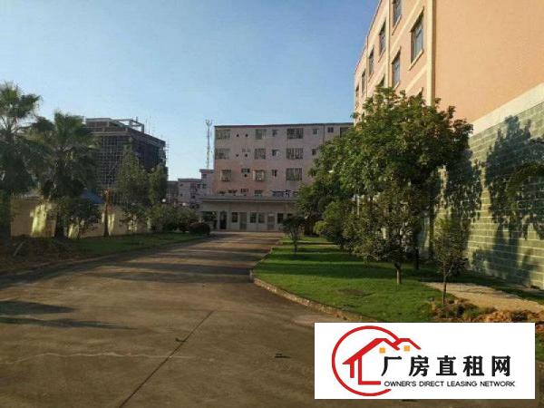 
塘厦莲湖独院2楼800平方！有环评可做氧气氧化