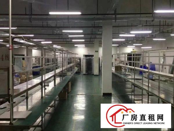 
大坪高速旁二楼2000平米电池客户优先出租