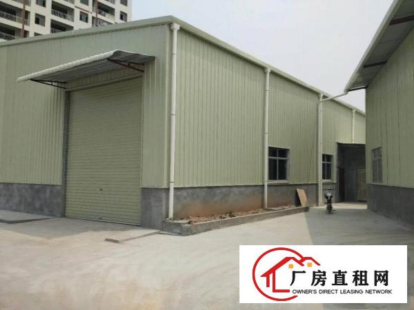 
塘厦靠近深圳新出滴水9米钢构厂房12500