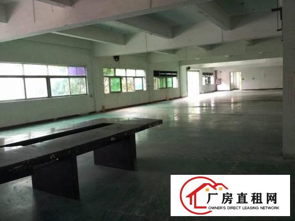 
塘厦周边高速出口标准一楼3700平米高7.