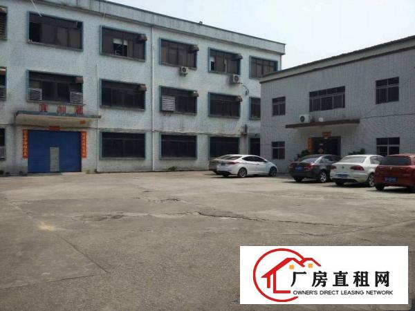 
沙湖靓丽独院楼上600平方带装修，租金便宜