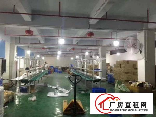 
沙湖靓丽独院楼上600平方带装修，租金便宜