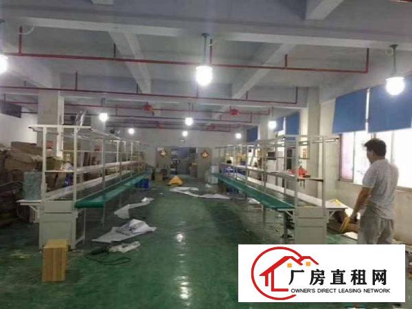 
沙湖靓丽独院楼上600平方带装修，租金便宜
