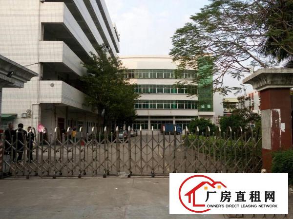 
塘厦田心科苑新出标准一楼450平米带装修出租