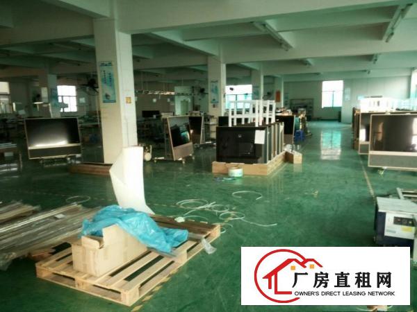 
塘厦田心科苑新出标准一楼450平米带装修出租