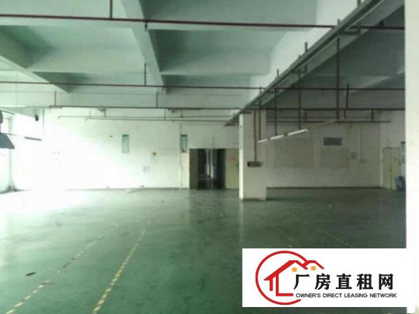 
塘厦大坪高速路出口旁科苑城标准二楼750平出租