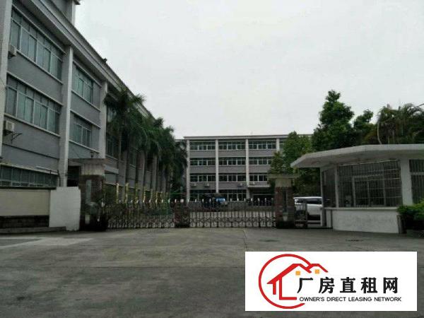 
塘厦田心一楼标准厂房1350平出租周边环境好易招工